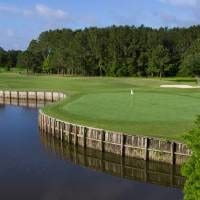 Golf green beside water hazard and trees